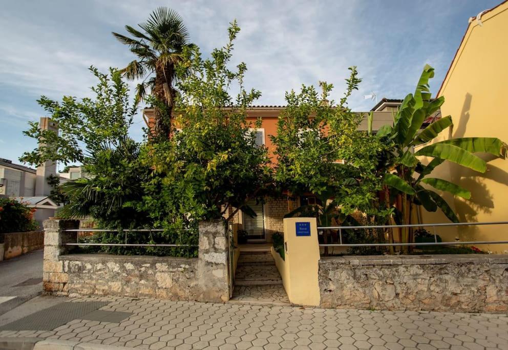 Apartman Den,Rovinj Oaza U Centru Grada I Besplatnim Parkingom Exterior foto